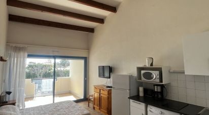Appartement 1 pièce de 23 m² à Balaruc-les-Bains (34540)