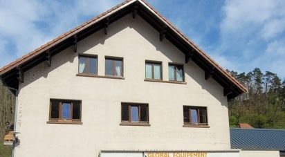Local d'activités de 256 m² à Lutzelbourg (57820)