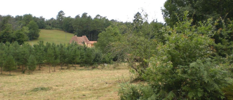 Land of 8,000 m² in Campsegret (24140)