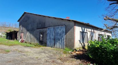 Country house 4 rooms of 100 m² in Durfort-Lacapelette (82390)
