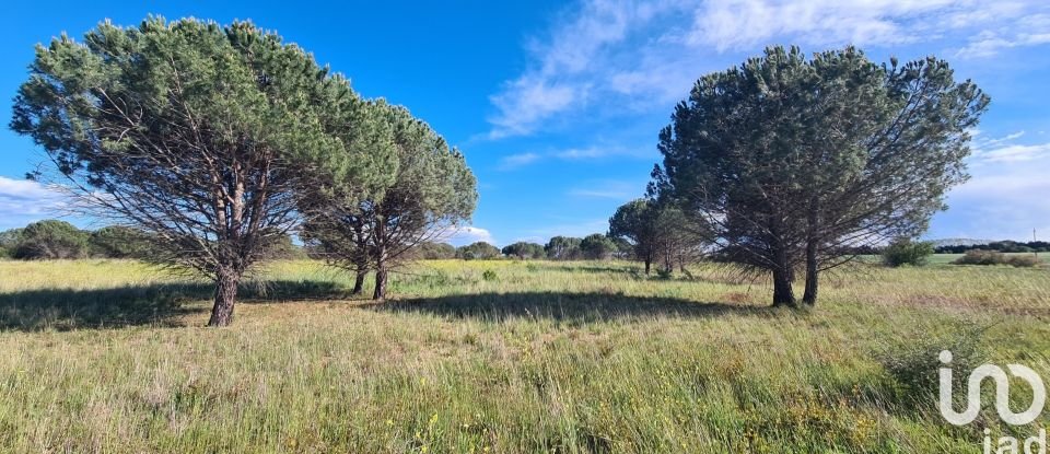 Agricultural land of 3,771 m² in - (34300)