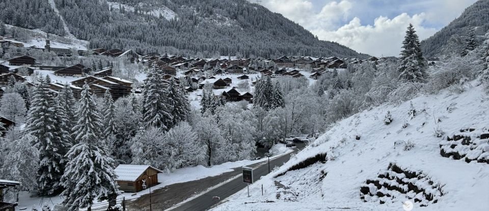Land of 6,000 m² in Châtel (74390)