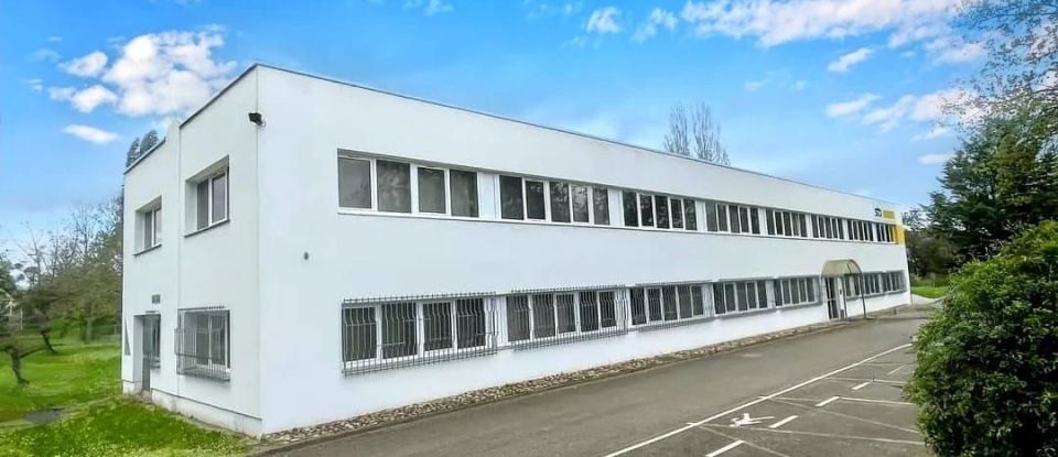 Offices of 58 m² in Schiltigheim (67300)