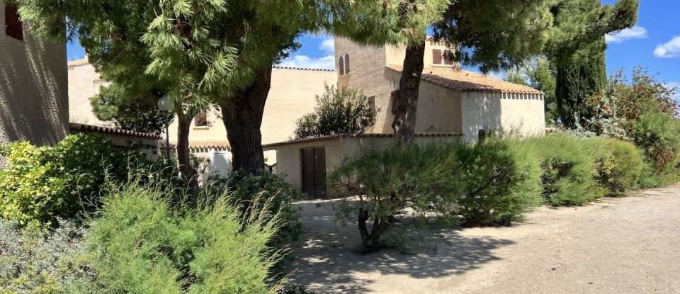 House 2 rooms of 38 m² in Le Barcarès (66420)