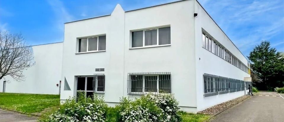 Offices of 18 m² in Schiltigheim (67300)