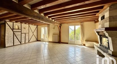 Maison 13 pièces de 256 m² à Vineuil (41350)