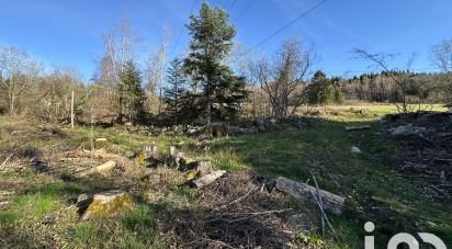 Land of 2,656 m² in Anould (88650)
