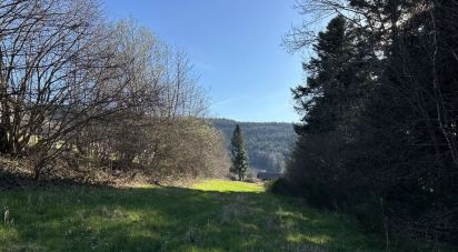 Land of 2,947 m² in Anould (88650)