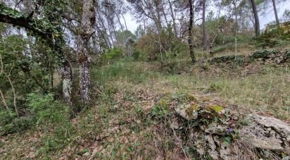 Land of 1,103 m² in Lorgues (83510)