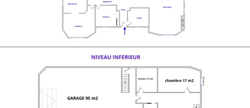 Maison 8 pièces de 229 m² à Seysses (31600)