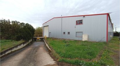 Commercial walls of 1,700 m² in Arces-Dilo (89320)