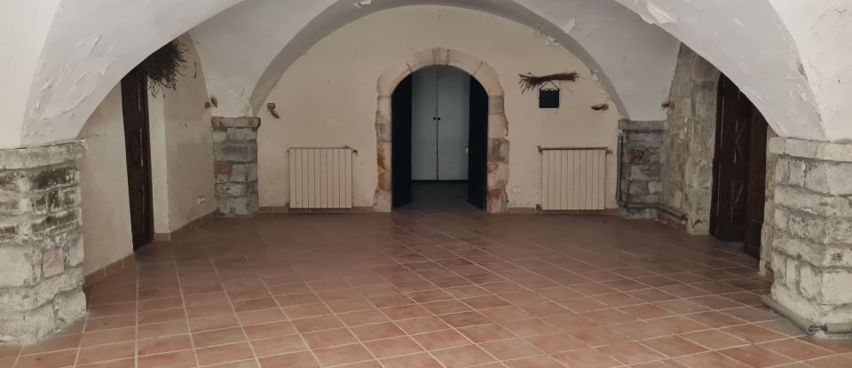 House 12 rooms of 540 m² in Baix (07210)