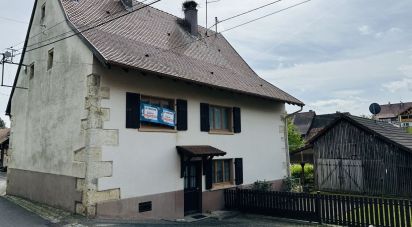 Maison 7 pièces de 157 m² à Raedersdorf (68480)