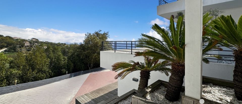 Maison d’architecte 10 pièces de 415 m² à Bastia (20200)
