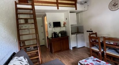 Appartement 1 pièce de 27 m² à Mont-Dore (63240)