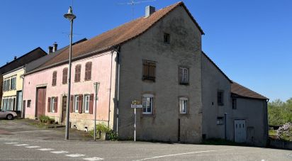 Maison 9 pièces de 172 m² à Sarralbe (57430)