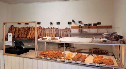 Bakery of 113 m² in Roquefort-des-Corbières (11540)