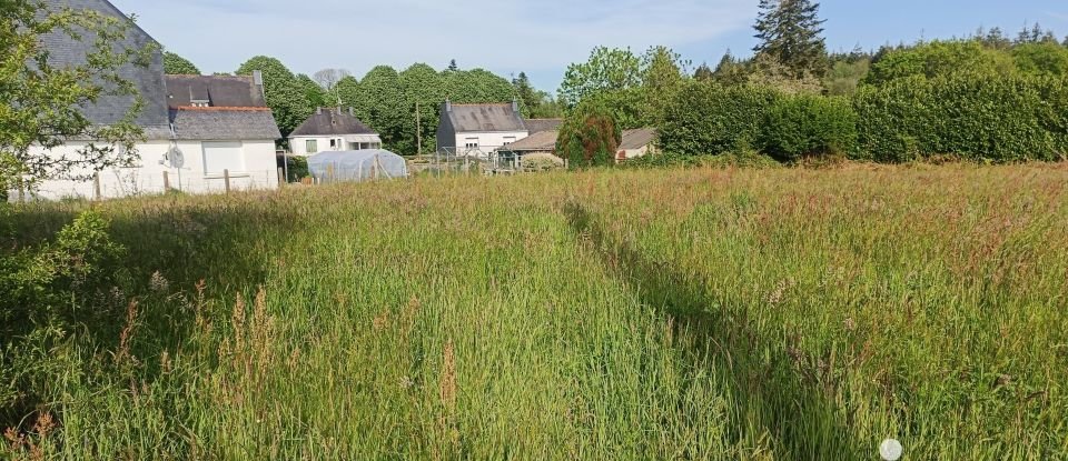 Land of 2,789 m² in Persquen (56160)