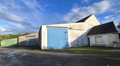 Bâtiment de 300 m² à La Haie-Fouassière (44690)
