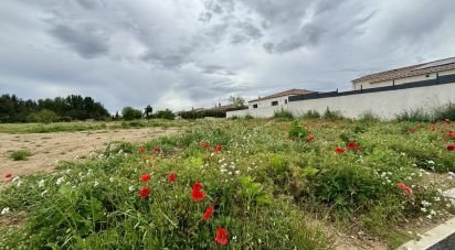 Land of 500 m² in Canet (11200)