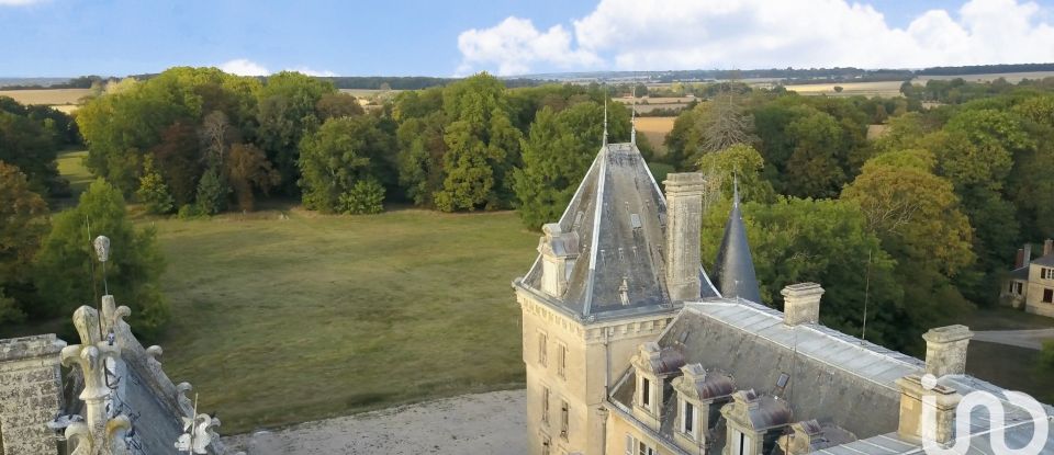 Château 72 pièces de 4 200 m² à Blet (18350)