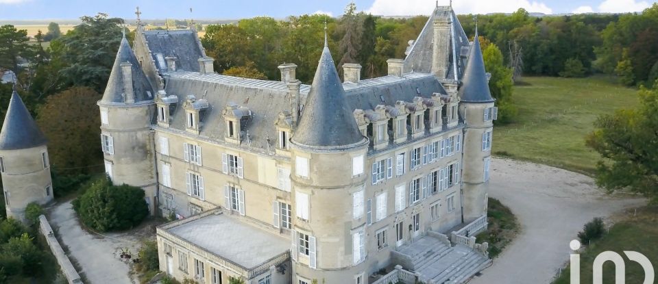 Château 72 pièces de 4 200 m² à Blet (18350)