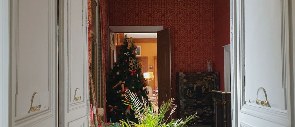Château 72 pièces de 4 200 m² à Blet (18350)