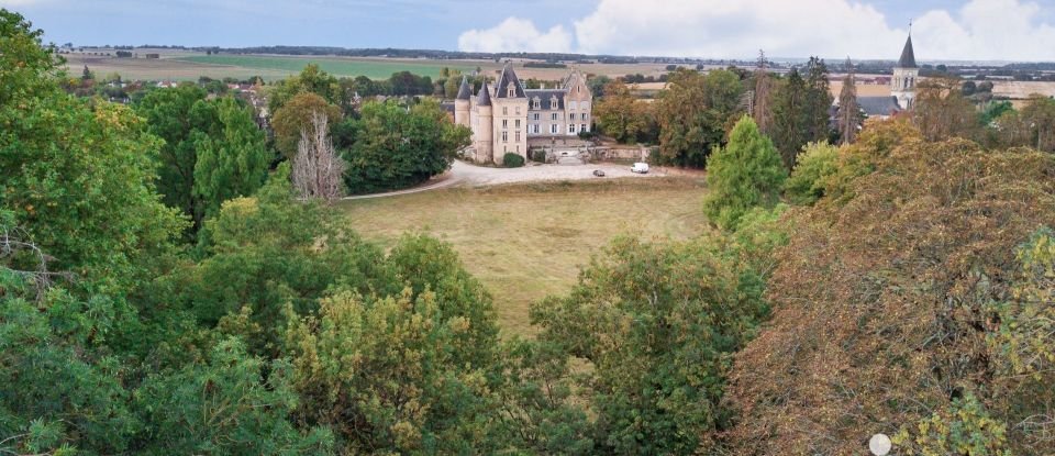 Château 72 pièces de 4 200 m² à Blet (18350)