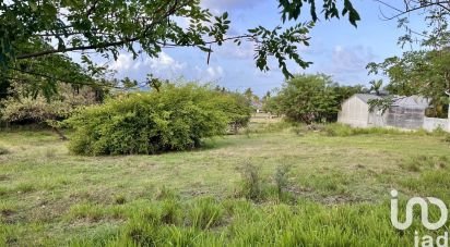 Land of 702 m² in Le Vauclin (97280)