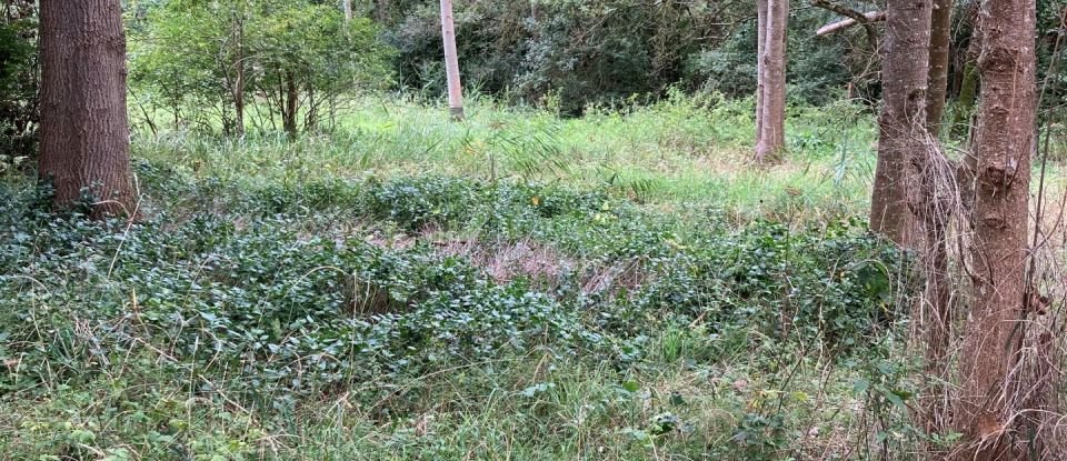 Leisure land of 570 m² in Pont-de-Ruan (37260)
