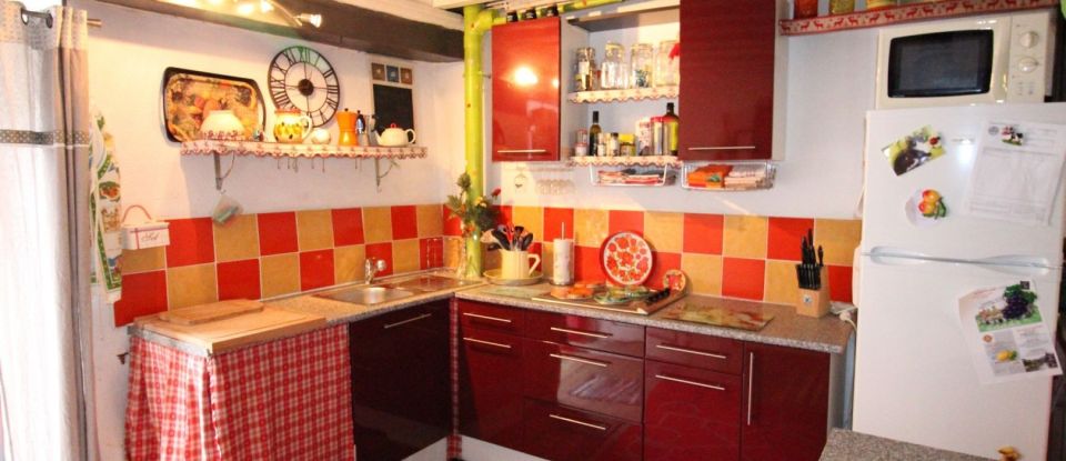 Maison 4 pièces de 103 m² à Niort-de-Sault (11140)