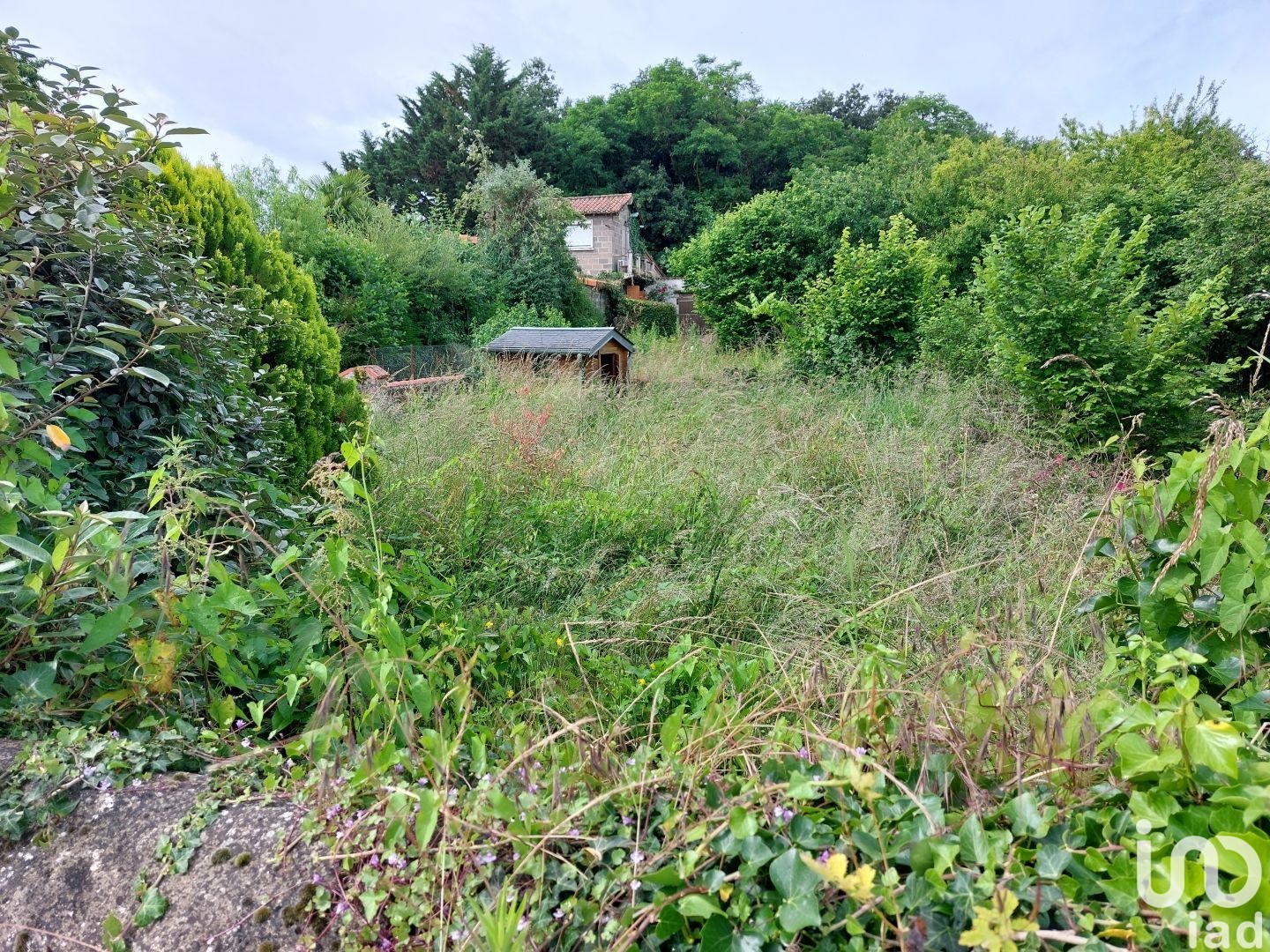Terrain VAL-EN-VIGNES 164 1554682