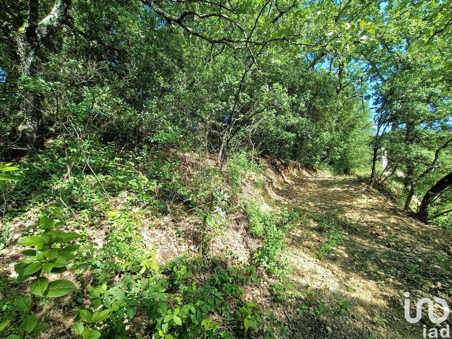 Terrain CARSAN 1453 1569255