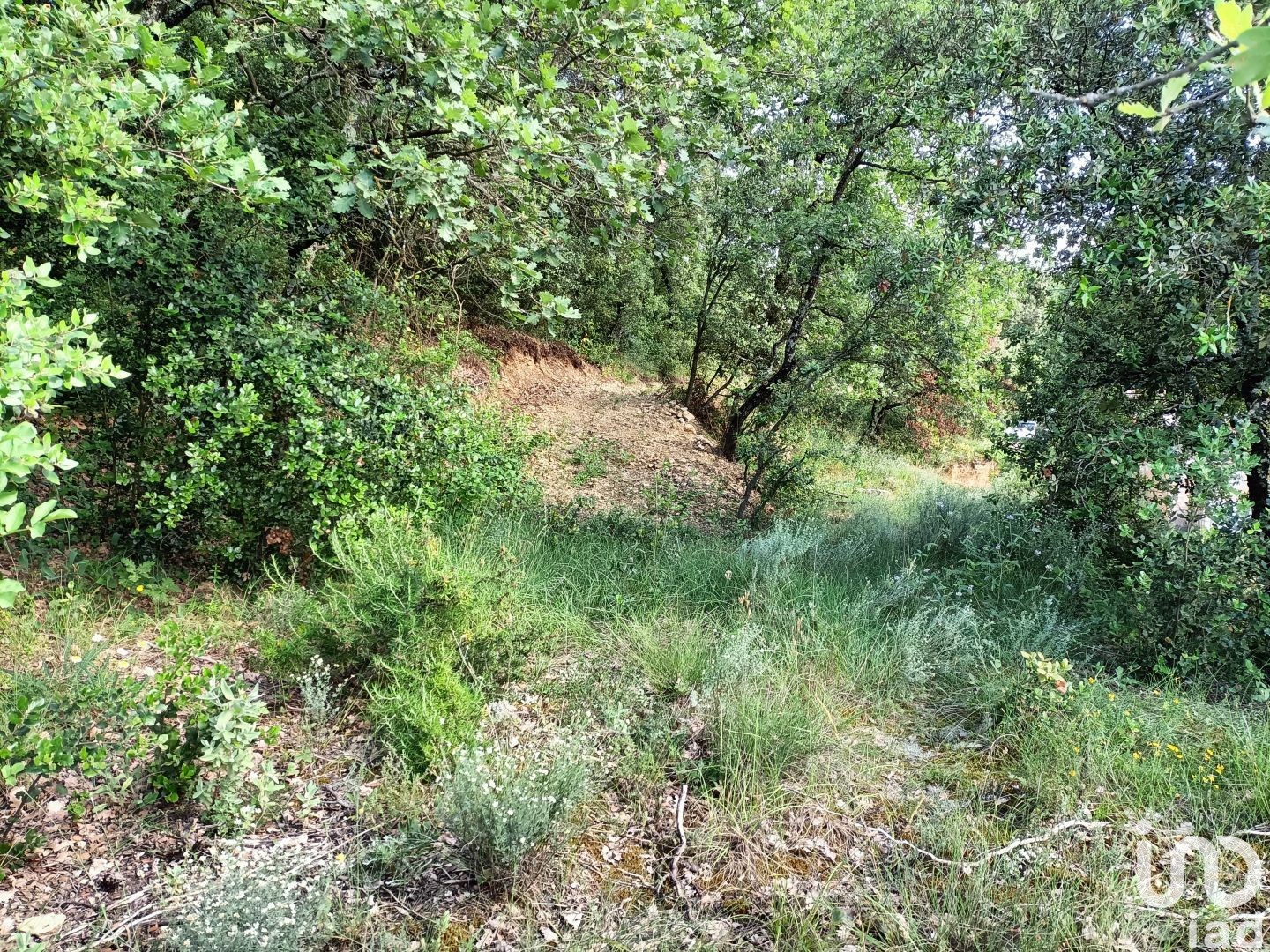 Terrain CARSAN 1453 1569255