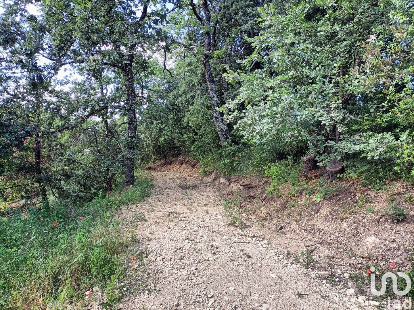 Terrain CARSAN 1453 1569255