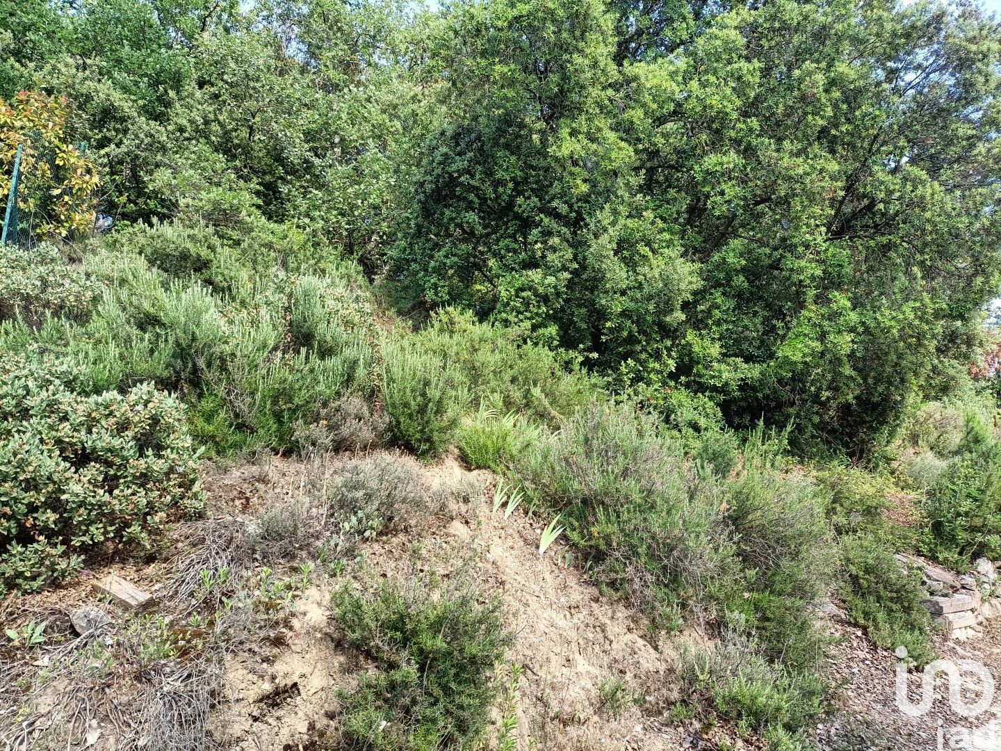 Terrain CARSAN 1453 1569255