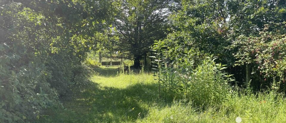 Terrain de 1 070 m² à Saint-Pierre-lès-Nemours (77140)
