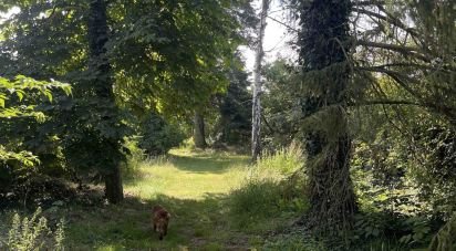 Terrain de 1 070 m² à Saint-Pierre-lès-Nemours (77140)
