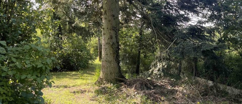 Terrain de 1 070 m² à Saint-Pierre-lès-Nemours (77140)