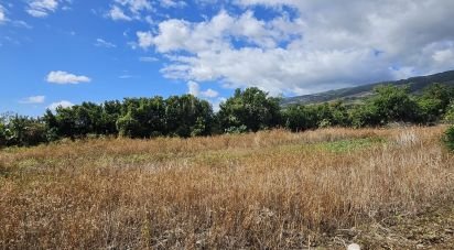 Terrain de 397 m² à Saint-Denis (97490)