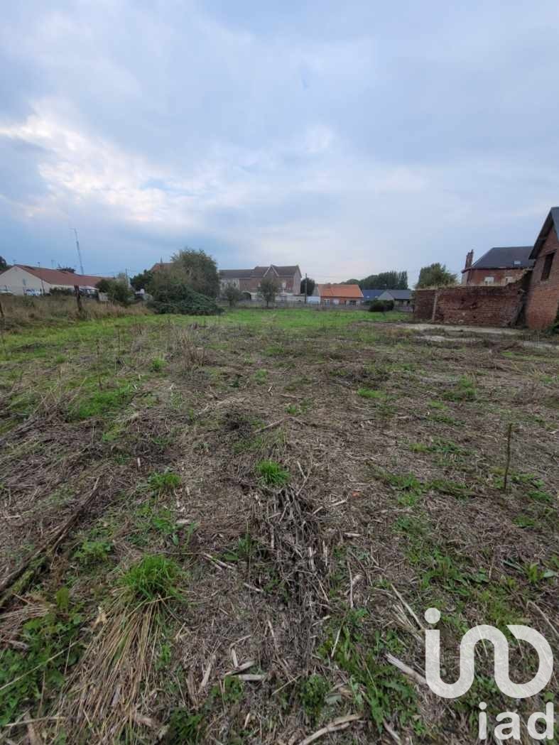 Terrain Farbus 1769 1608409