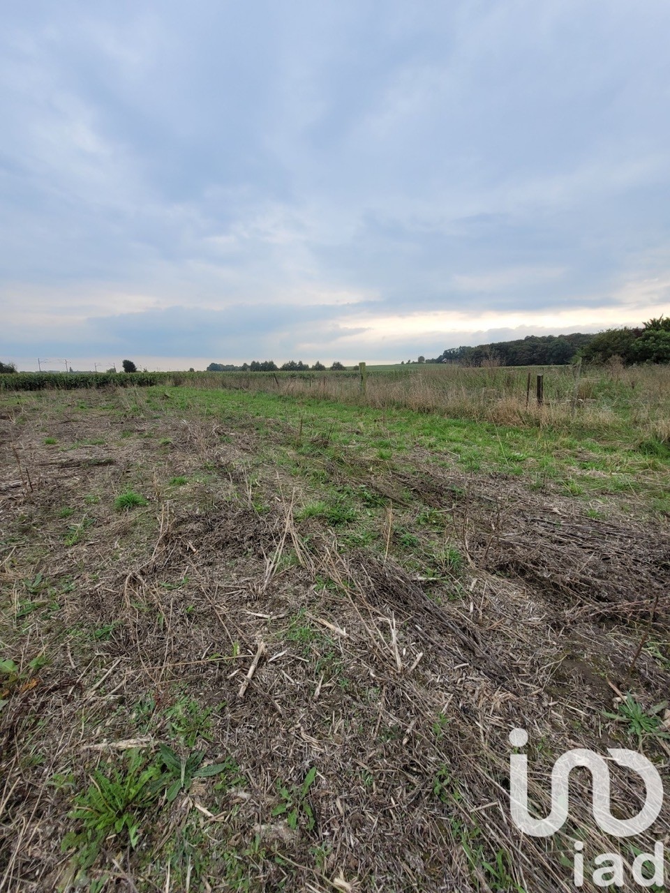 Terrain Farbus 1769 1608409