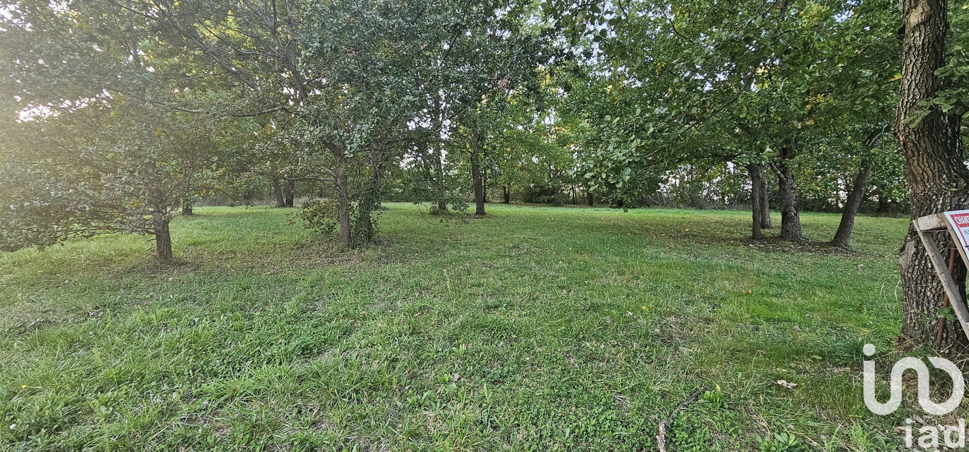 Terrain Mauressac 2215 1631165