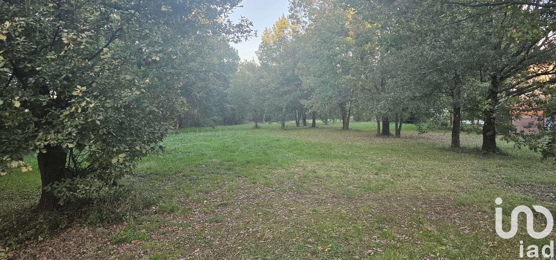 Terrain Mauressac 2215 1631165