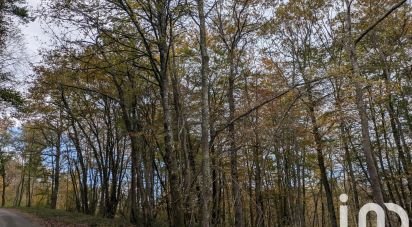 Terrain Loisirs de 9 495 m² à Lescure (09420)