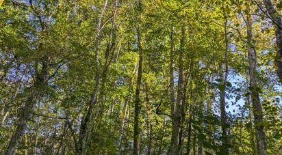 Terrain Loisirs de 9 495 m² à Lescure (09420)