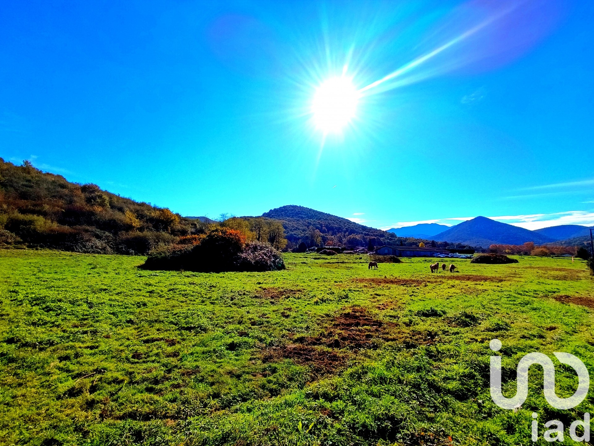 Terrain Saint-Gaudens 14184 1640391