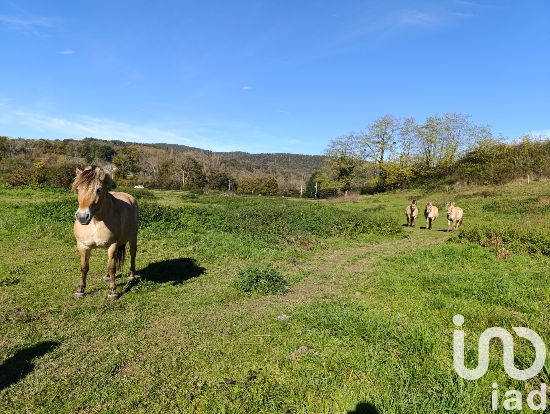 Terrain Saint-Gaudens 14184 1640391