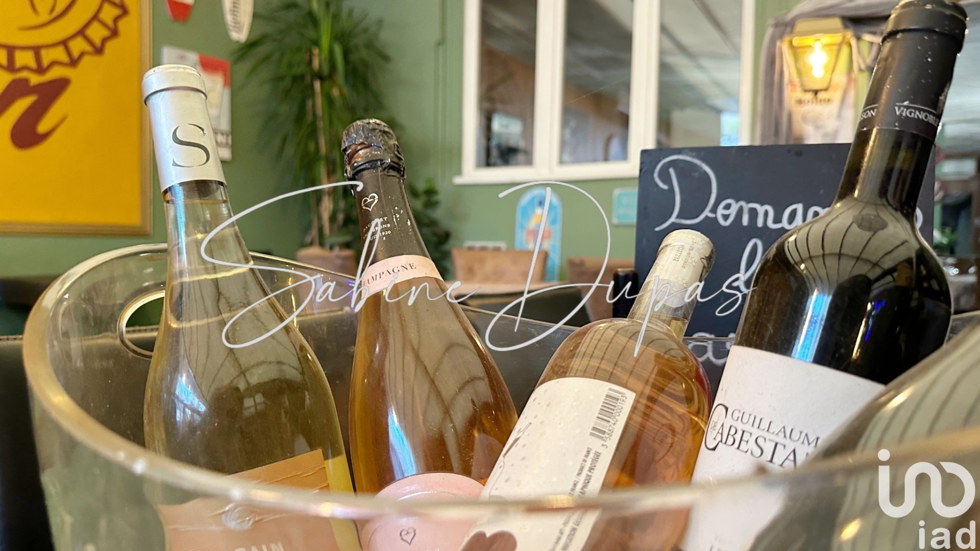 Restaurant CHEVAL-BLANC 295 1646436