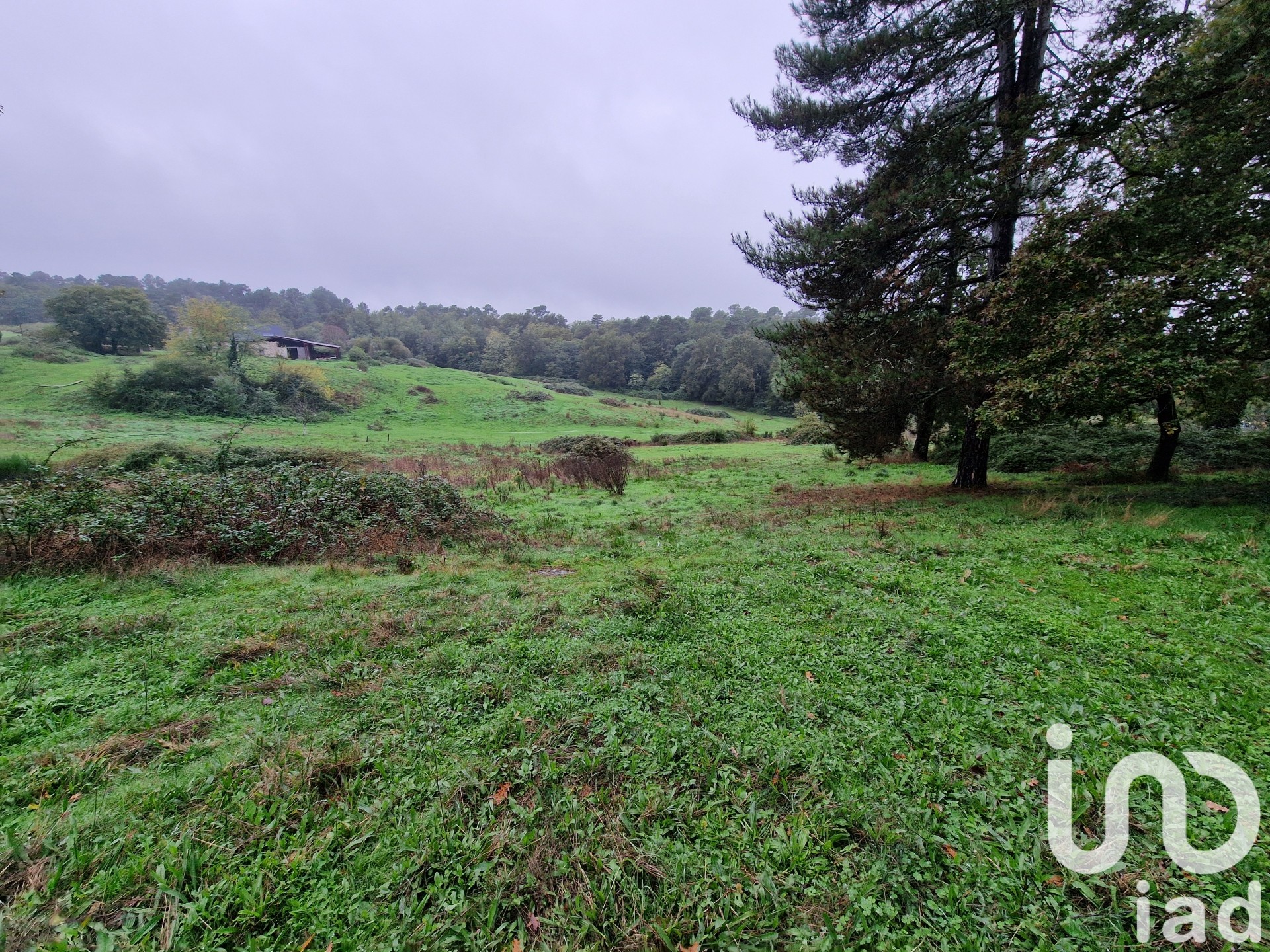 Terrain Brive la gaillarde 1184 1658834